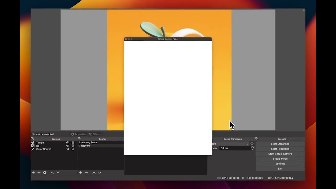 Tangia - Video Overview