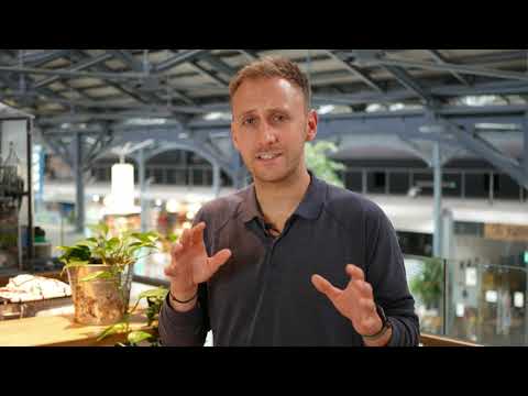 VIDU - Video Overview