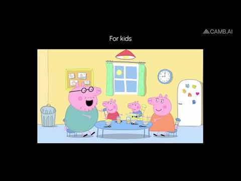 Camb.ai - Video Overview