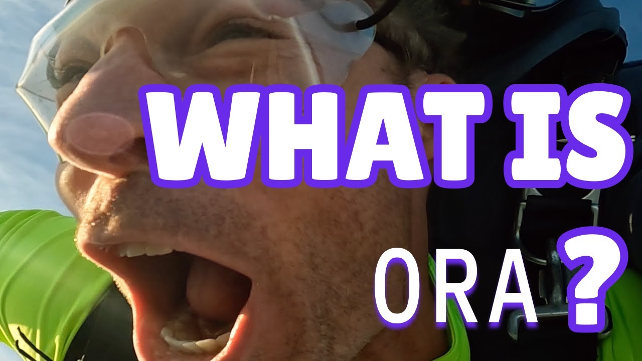 Lavender - Video Overview