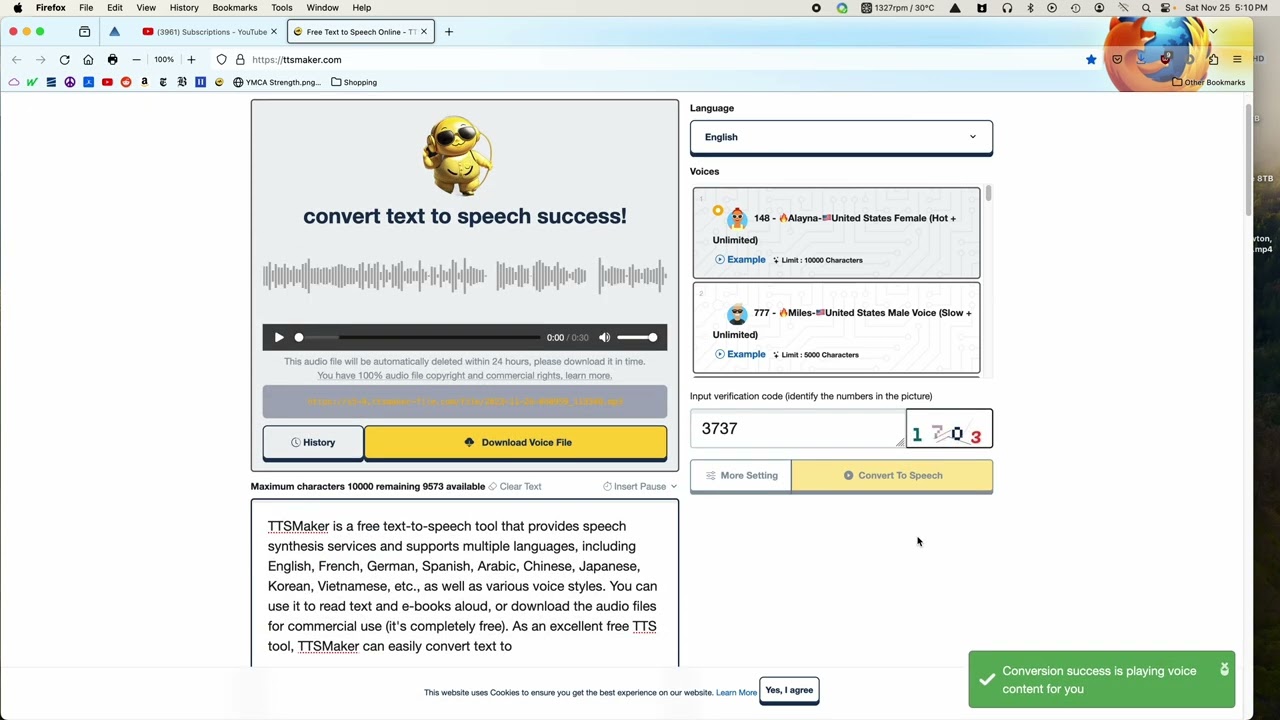 TTSMaker - Video Overview
