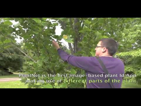 PlantNet - Video Overview