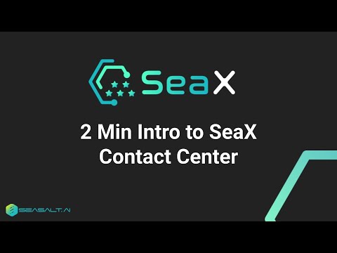 Seasalt.ai - Video Overview