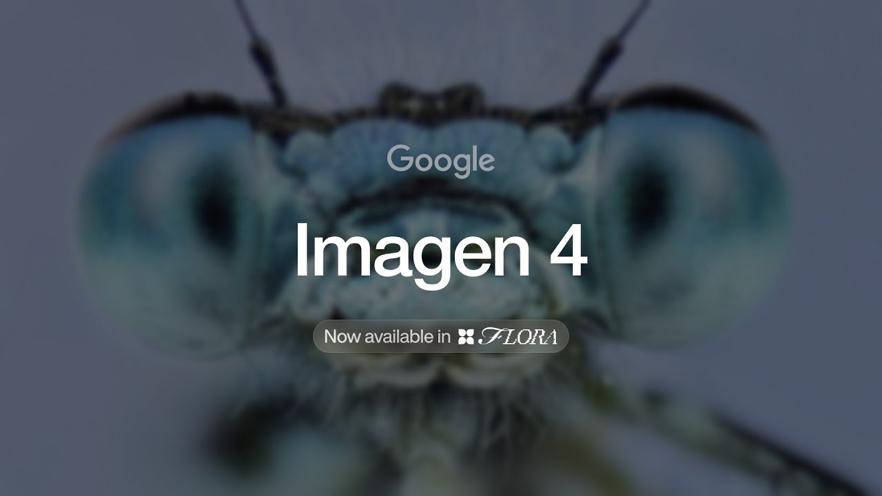 Imagen - Video Overview