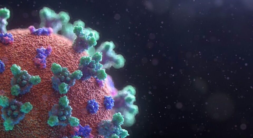 Article Image - Best AI Tools AI just designed functional new viruses, and the guardrails are not ready